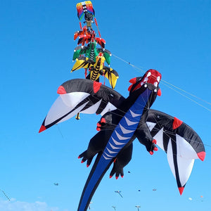 6.5m Dragon Kite Line Laundry Soft Inflatable Kite – 9km-dwlife