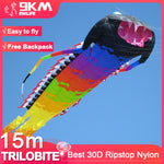 Load image into Gallery viewer, 15m Ancient Trilobite Kite Line Laundry Kite Soft Inflatable with Bag
