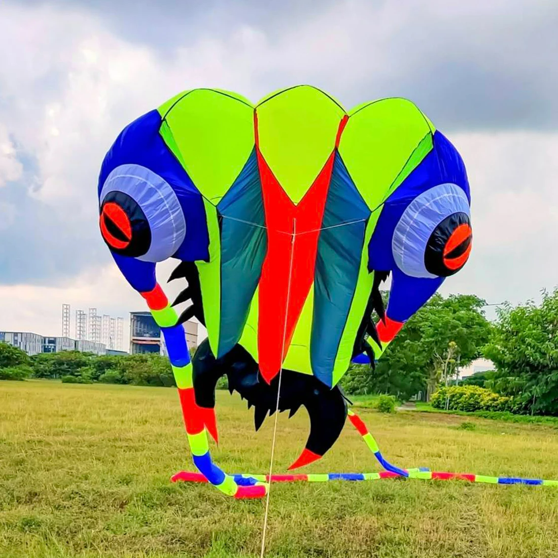 Trilobite Kite for Adults Flying Sport