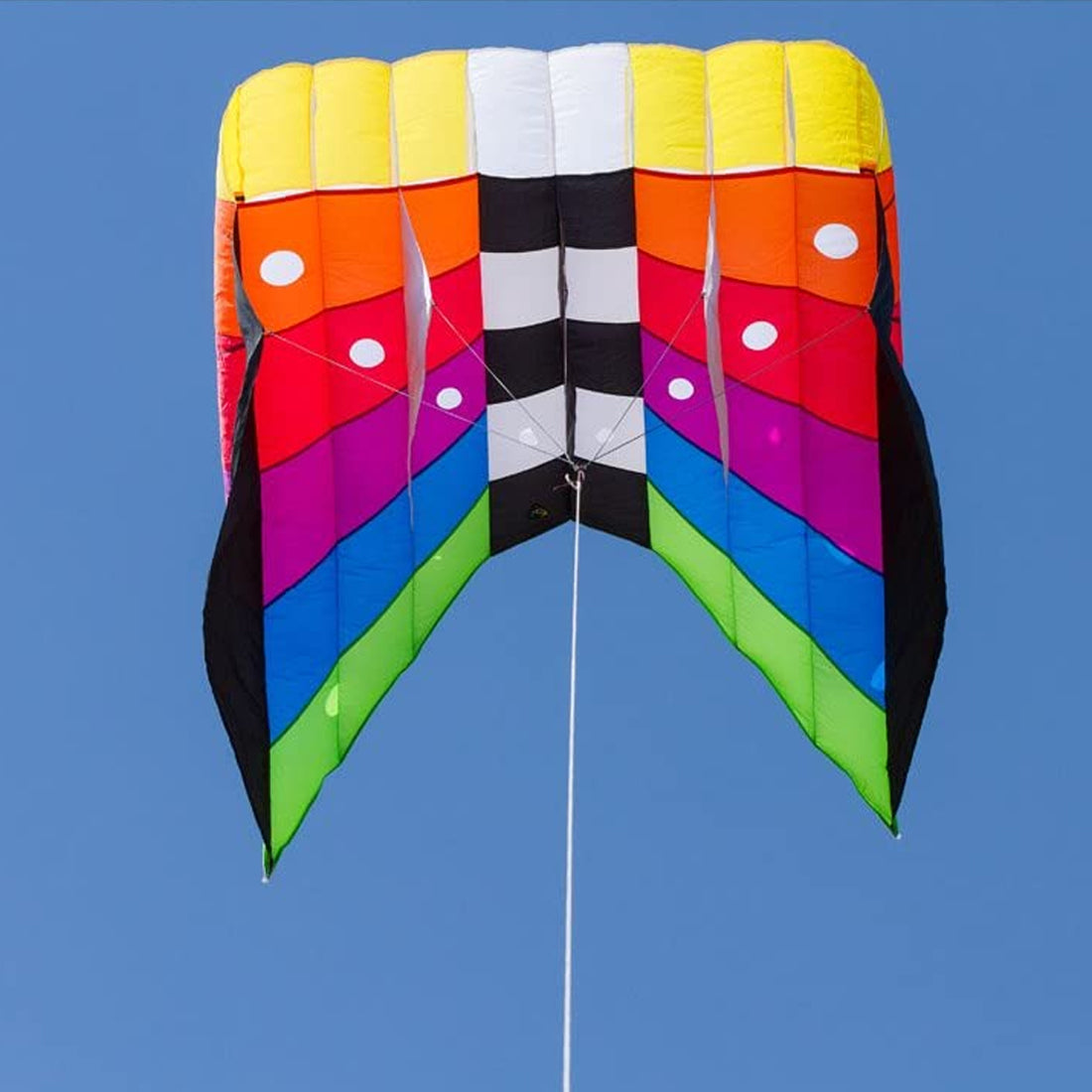 9KM Flow Forms Pilot Lifter Kite 6㎡~12㎡ Single Line Parafoil Kite with Bag