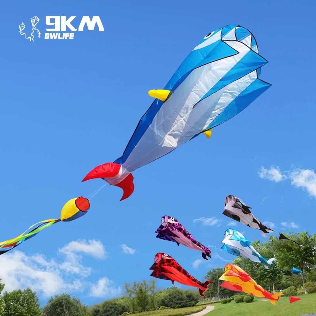 3D Dolphin Software Kite Single Line Kites