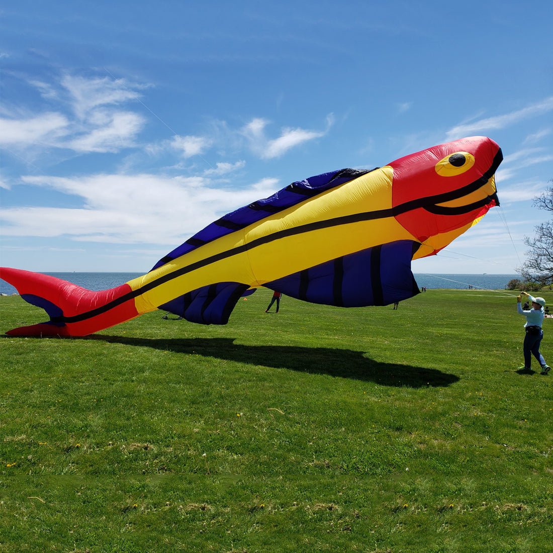 9KM 14m Mega Fish Kite Line Laundry Pendant Soft Inflatable Show Kite for Kite Festival 30D Ripstop Nylon with Bag
