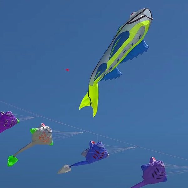 9KM 14m Mega Fish Kite Line Laundry Pendant Soft Inflatable Show Kite –  9km-dwlife