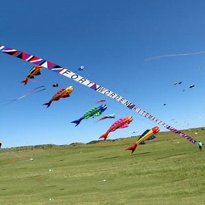 9KM 14m Mega Fish Kite Line Laundry Pendant Soft Inflatable Show Kite for Kite Festival 30D Ripstop Nylon with Bag