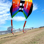 Lade das Bild in den Galerie-Viewer, 9KM Flow Forms Pilot Lifter Kite 6㎡~12㎡ Single Line Parafoil Kite with Bag
