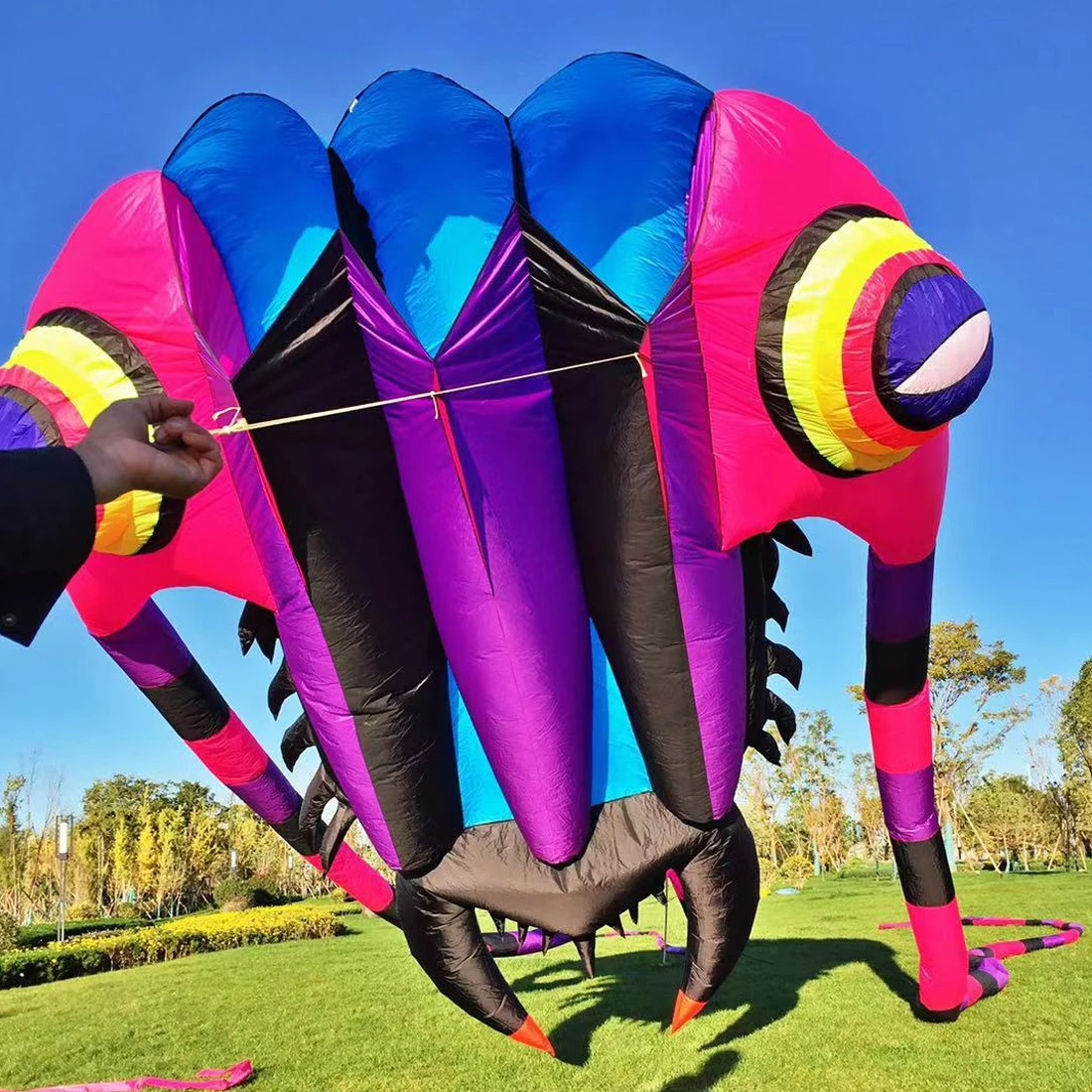 Trilobite Kite for Adults Flying Sport