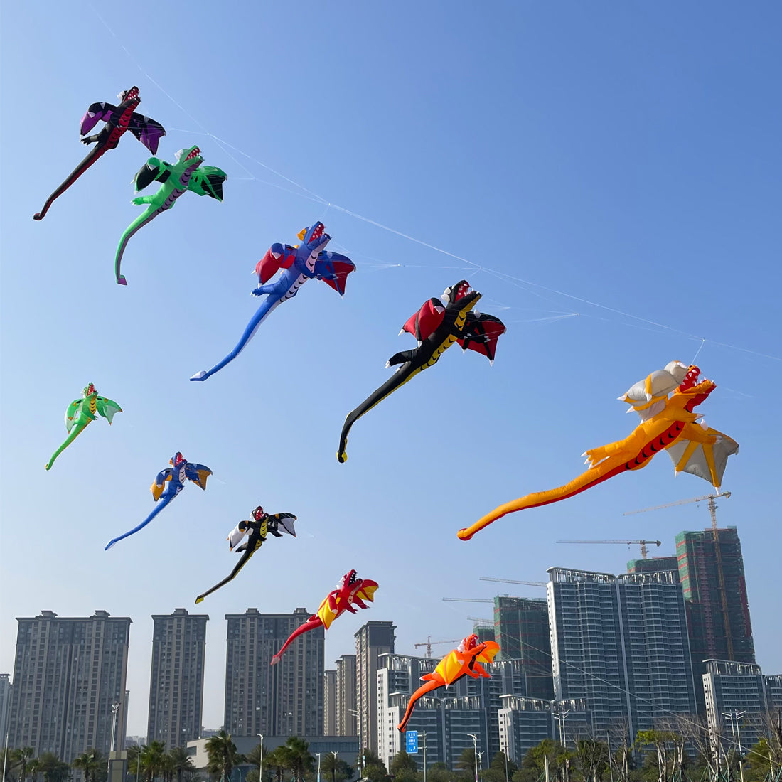 6.5m Dragon Kite Line Laundry Soft Inflatable Kite