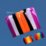 Lade das Bild in den Galerie-Viewer, 9KM DWLIFE 8 Hole PARACHUTE Kite
