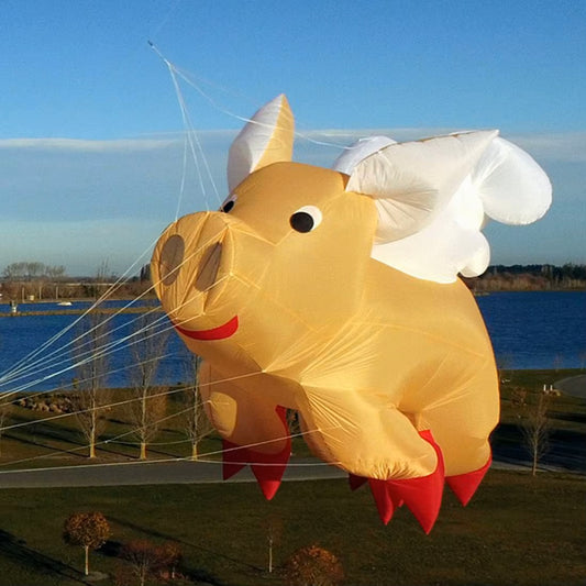 9KM 3m Pig Kite 