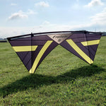 Lade das Bild in den Galerie-Viewer, Beginner 4 Line Stunt Kite for Adults Professional Acrobatic Kite
