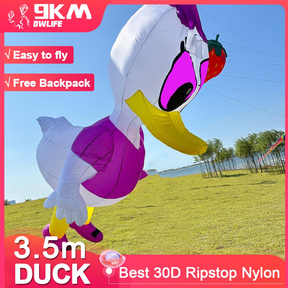 Duck Kite