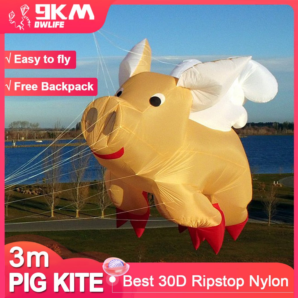 Pig Kite