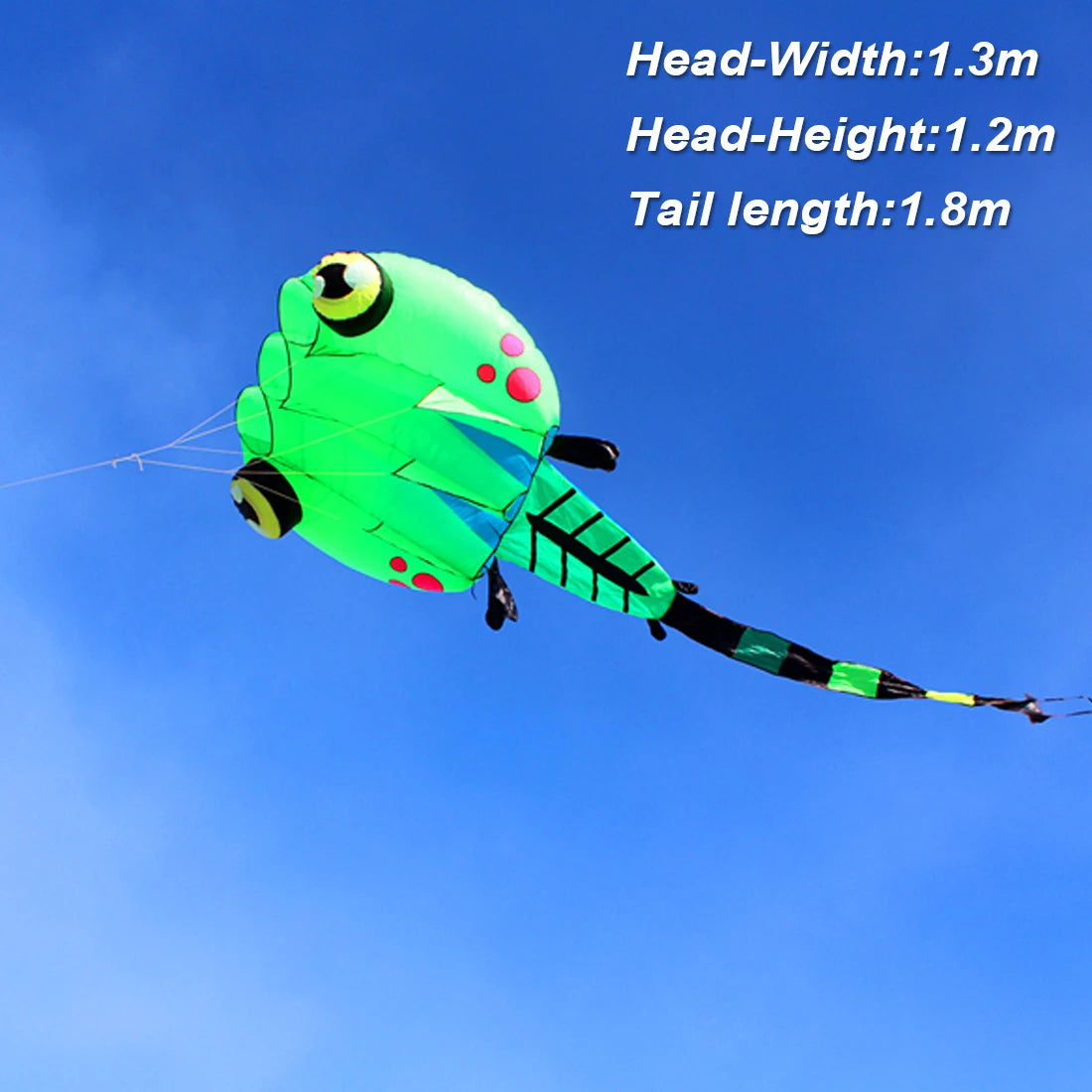 9KM 2㎡~8㎡ Pilot Lifter Tadpole Kite Single Line Soft Inflatable Line Laundry Show Kite Best 30D Ripstop Nylon Fabric