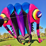 Lade das Bild in den Galerie-Viewer, 9KM 10sqm Large Trilobite Kite Pilot Lifter Line Laundry Soft Inflatable Show Kite for Kite Festival 30D Ripstop Nylon with Bag
