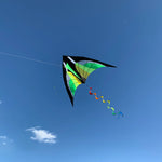 Load image into Gallery viewer, Rainbow Kite Tail Windsock Garden Decor
