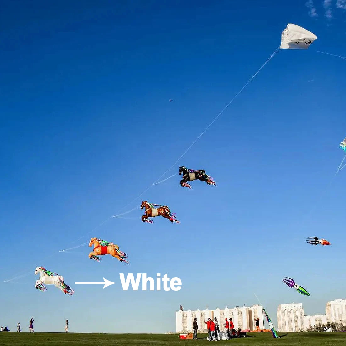 9KM 5m Horse Kite Soft Inflatable Line Laundry Kite 30D Ripstop Nylon with Bag for Kite Festival (Accept wholesale)