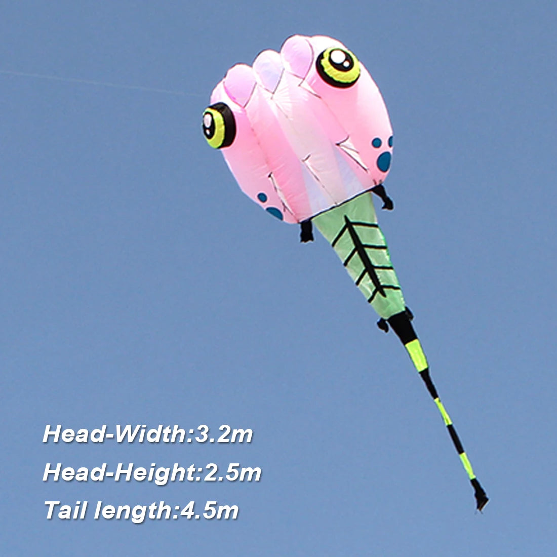 9KM 2㎡~8㎡ Pilot Lifter Tadpole Kite Single Line Soft Inflatable Line Laundry Show Kite Best 30D Ripstop Nylon Fabric