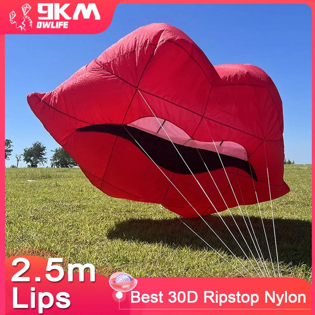  2.5m Lips kite