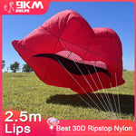 Load image into Gallery viewer,  2.5m Lips kite
