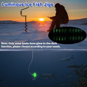 9KM 8Pcs~60Pcs Ice Fishing Jig Set Ice Fishing Lures Micro Jig Head Hook Kit with Box for Freshwater & Saltwater