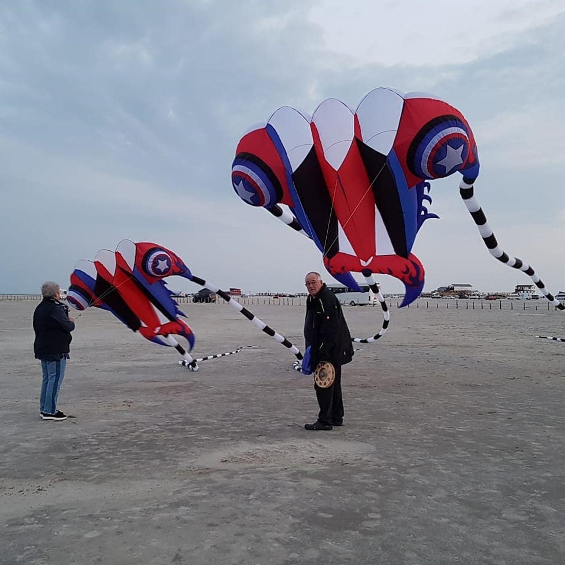 7㎡~16㎡ Trilobite Kite Large Single Line Parafoil Kite Line Laundry Soft Inflatable Kite 30D Ripstop Nylon with Bag