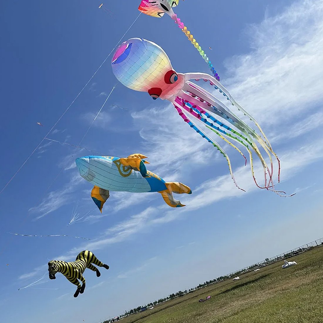 9KM Giant 40m Octopus Kite Line Laundry Pendant Soft Inflatable Show Kite for Kite Festival 30D Ripstop Nylon Fabric