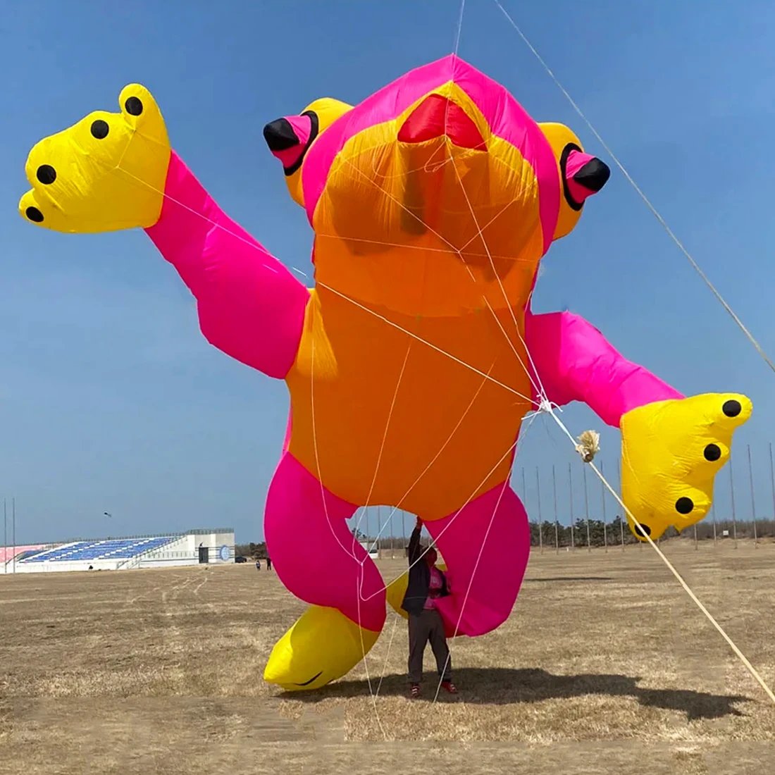 9KM Giant 5m Frog Kite Line Laundry Kite Soft Inflatable 30D Ripstop Nylon with Bag for Kite Festival (Accept wholesale)