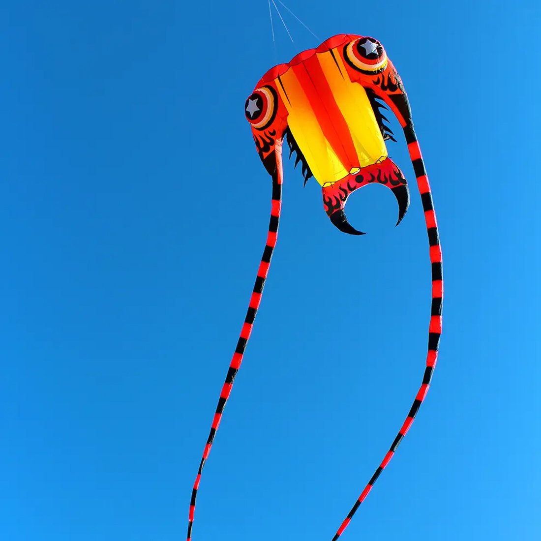 7㎡~16㎡ Trilobite Kite Large Single Line Parafoil Kite Line Laundry Soft Inflatable Kite 30D Ripstop Nylon with Bag