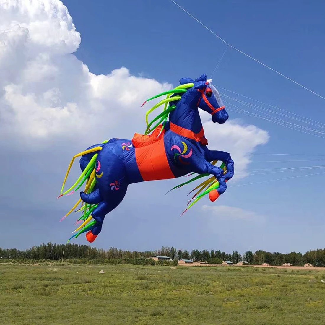 9KM 5m Horse Kite Soft Inflatable Line Laundry Kite 30D Ripstop Nylon with Bag for Kite Festival (Accept wholesale)