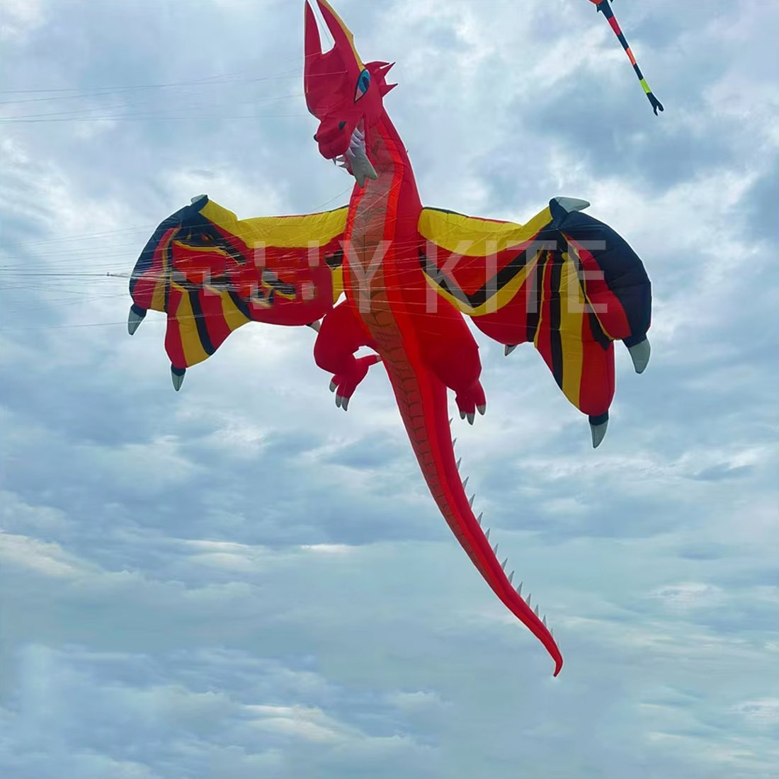 Giant Dragon Kite