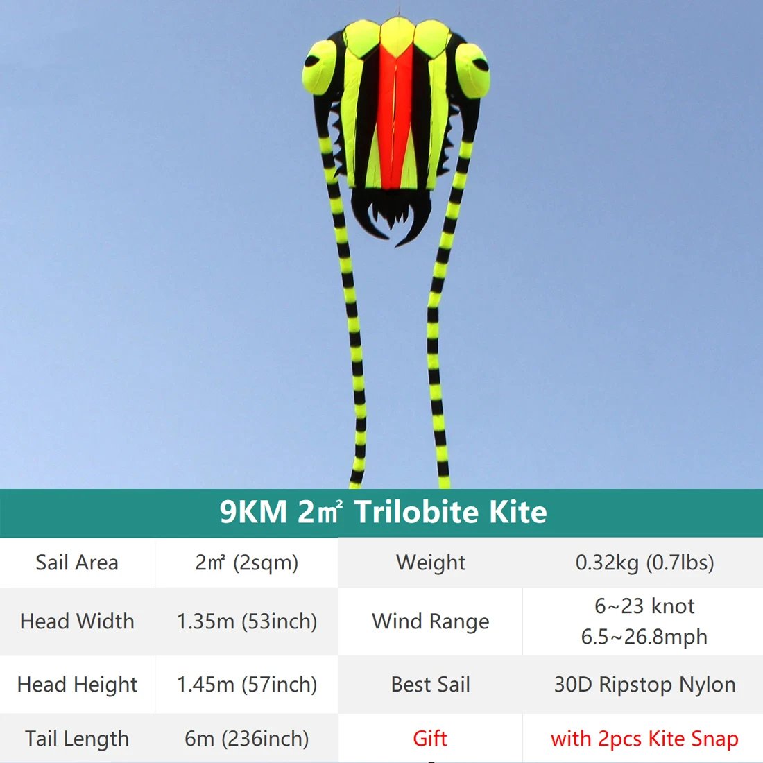 9KM Kite 2㎡ Trilobite Kite 7.45m Soft Inflatable Line Laundry Show Kite 30D Ripstop Nylon Fabric With Swivels & Bag