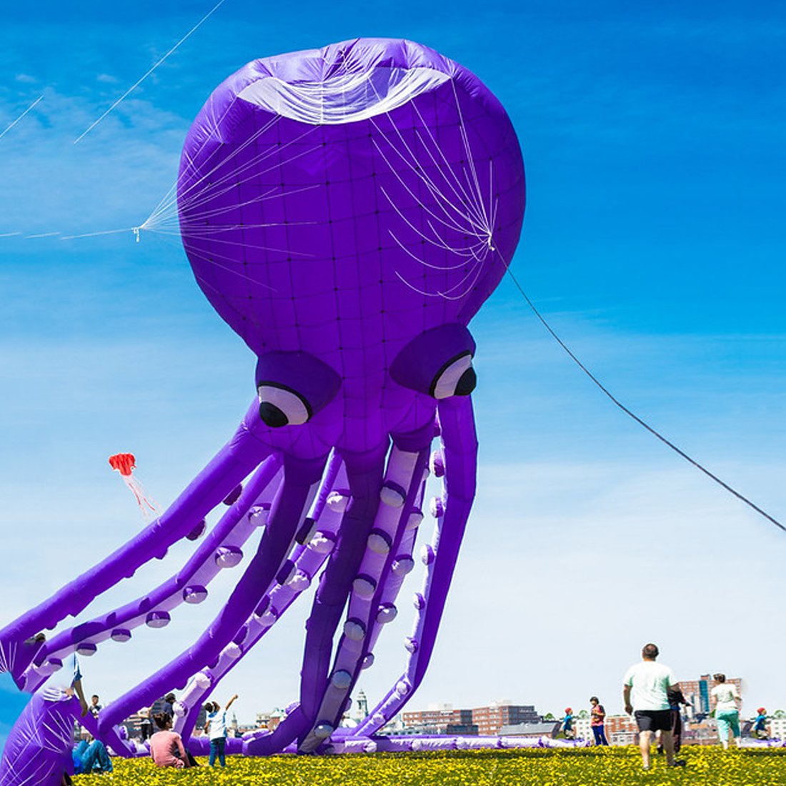 9KM 12m Octopus Kite Line Laundry Pendant Soft Inflatable Show Kite for Kite Festival 30D Ripstop Nylon with Bag