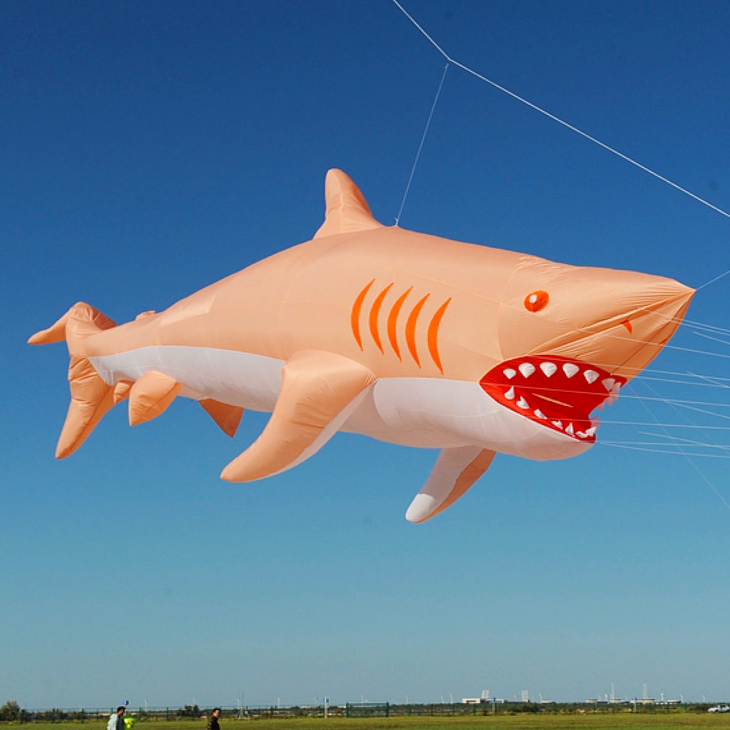 9KM 12m Shark kite Line Laundry Pendant Soft Inflatable Show Kite for Kite Festival 30D Ripstop Nylon Fabric (Accept wholesale)