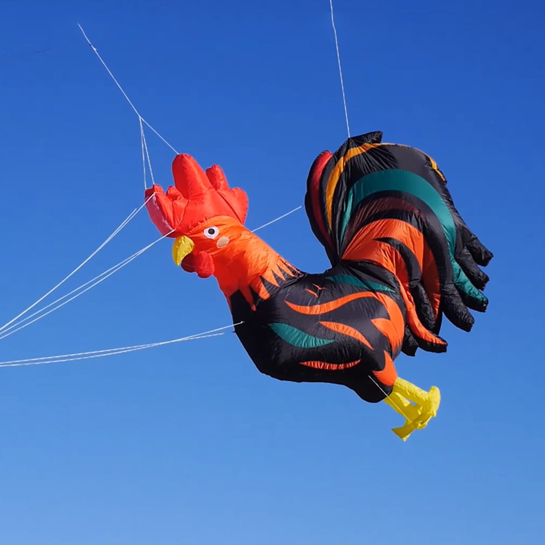 9KM 2.8m*2.5m Rooster Kite Line Laundry Pendant Soft Inflatable Show Kite for Kite Festival 30D Ripstop Nylon with Bag