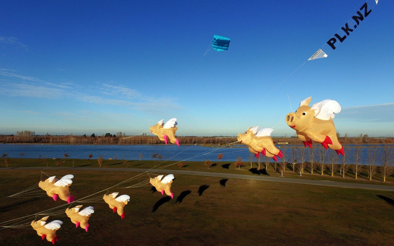 Pig Kite