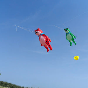 9KM 5m Frog Kite Line Laundry Pendant Soft Inflatable Show Kite for Kite Festival 30D Ripstop Nylon Fabric (Accept wholesale)