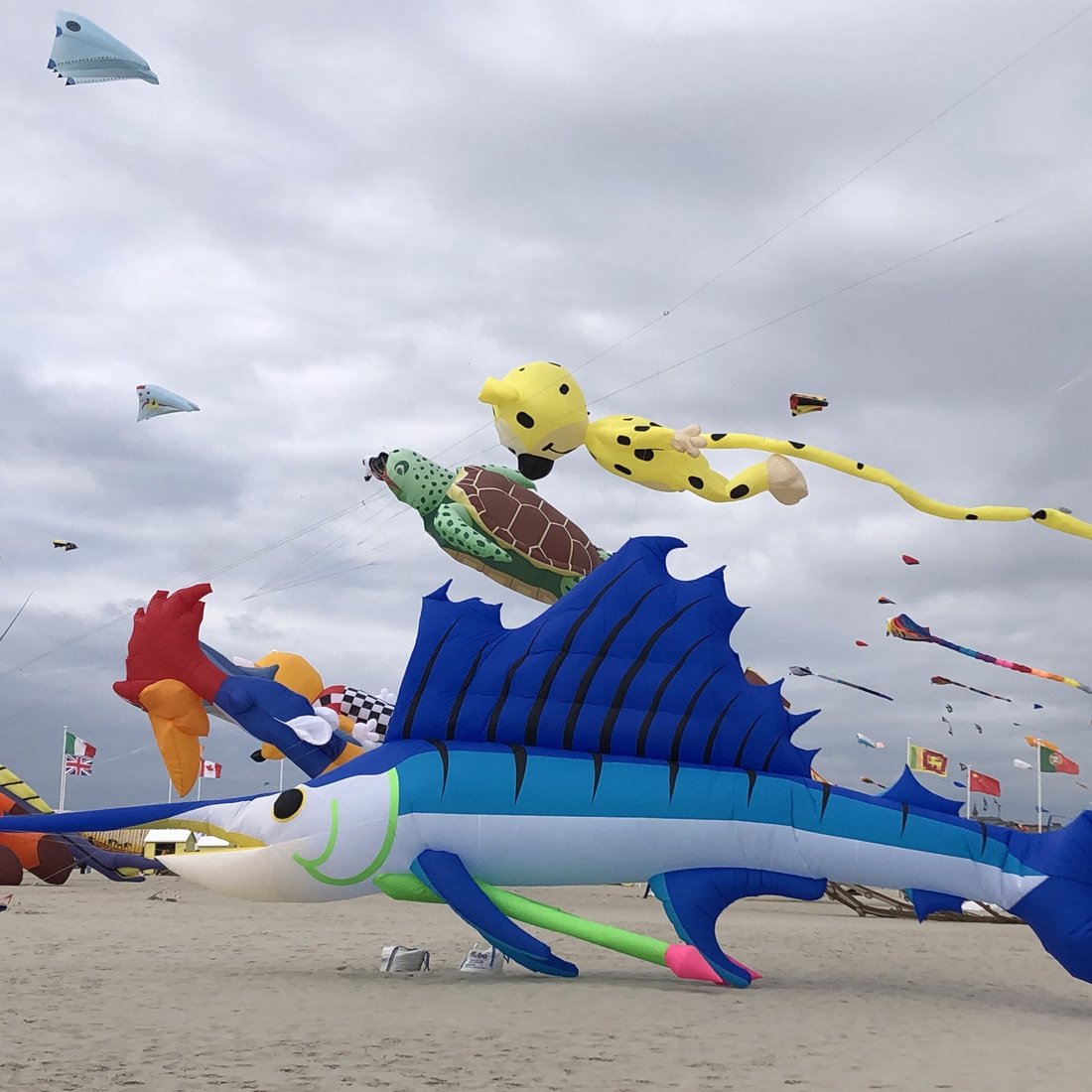 9KM 17m Marlin Fish Kite Line Laundry Soft Inflatable Show Kite for Kite Festival 30D Ripstop Nylon with Bag