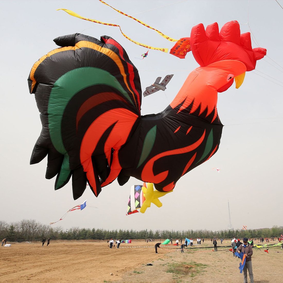 9KM 2.8m2.5m Rooster Kite Line Laundry Pendant Soft Inflatable Show Kite