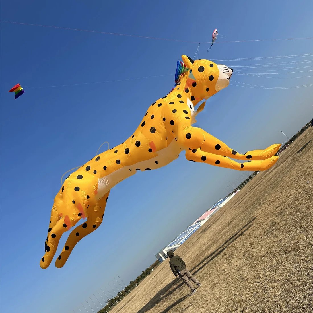 9KM 10m Leopard Kite Line Laundry Kite Pendant Soft Inflatable Show Kite for Kite Festival 30D Ripstop Nylon with Bag