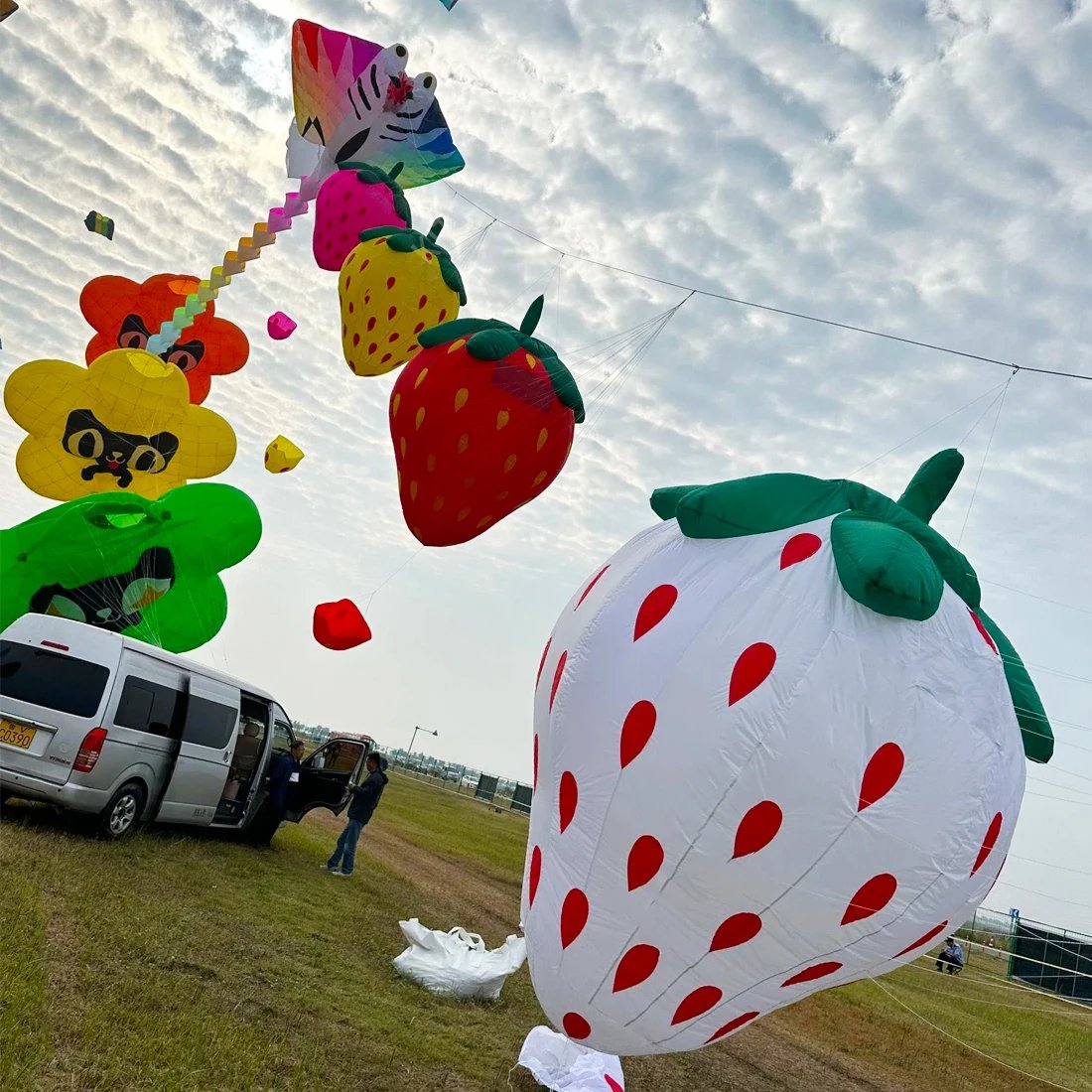 9KM 3.5m Strawberries Kite Line Laundry Kite Soft Inflatable 30D Ripstop Nylon with Bag for Kite Festival (Accept wholesale)