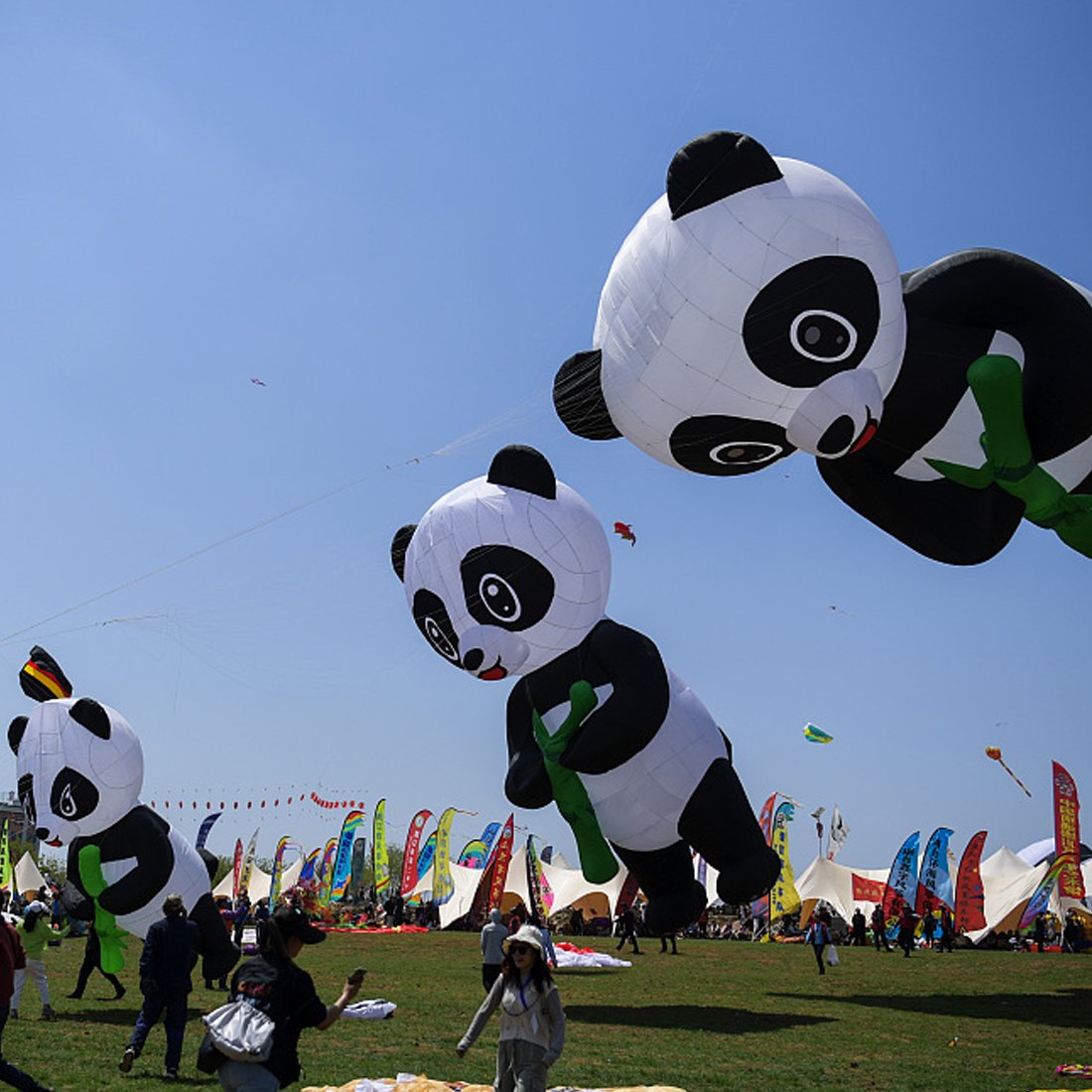 9KM 5m Panda Kite Line Laundry Pendant Soft Inflatable Show Kite for Kite Festival 30D Ripstop Nylon Fabric