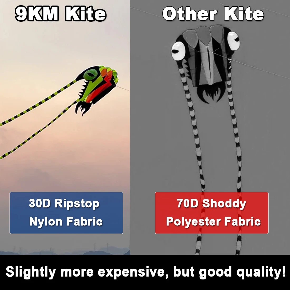 9KM Kite 2㎡ Trilobite Kite 7.45m Soft Inflatable Line Laundry Show Kite 30D Ripstop Nylon Fabric With Swivels & Bag