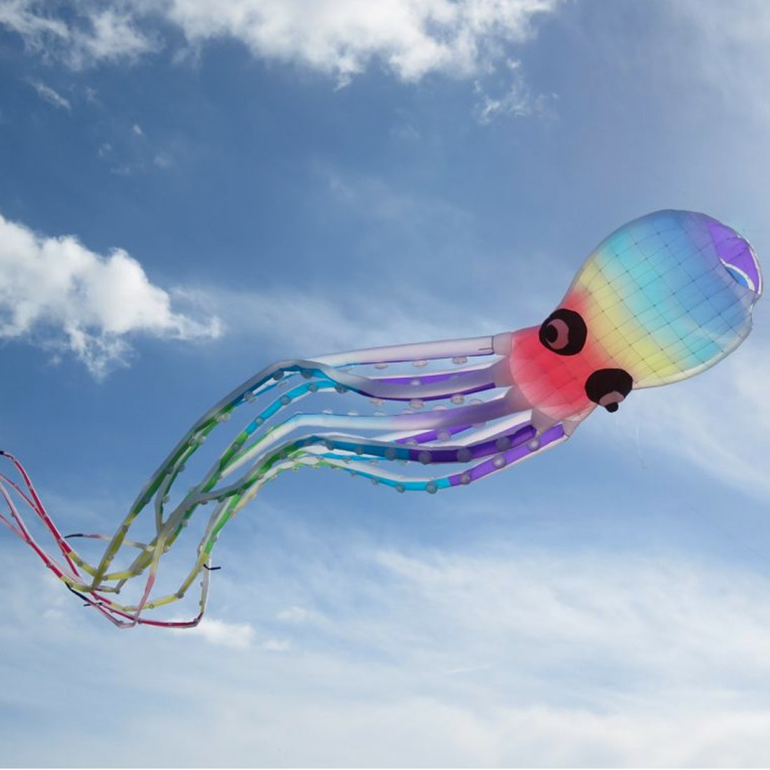 40m Octopus Kite 