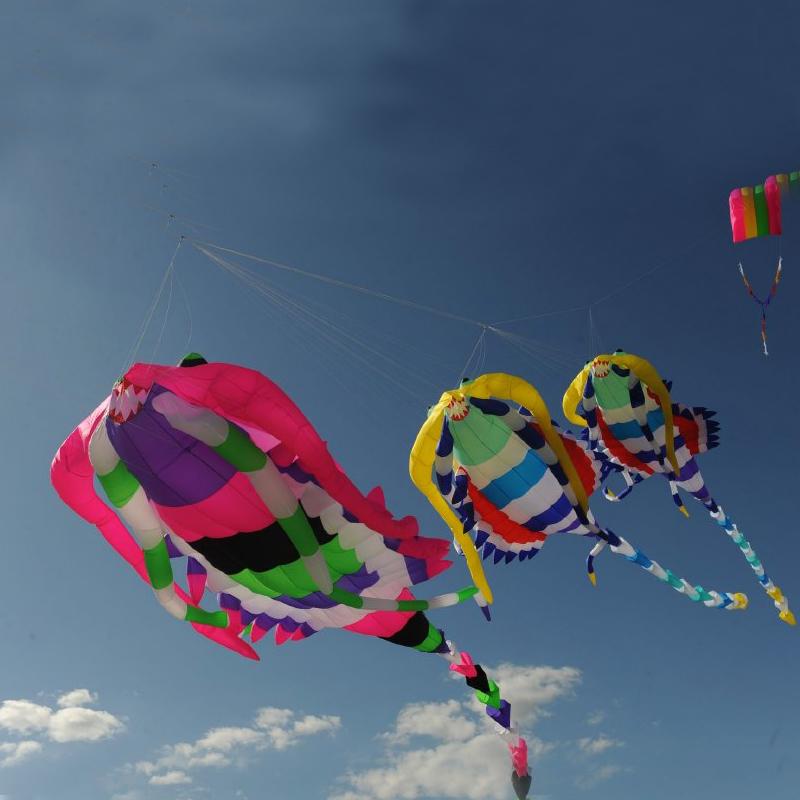 9KM 15M Mallworm Kite Line Laundry Kite Soft Inflatable 30D Ripstop Nylon for Kite Festival with Bag  (Accept wholesale)