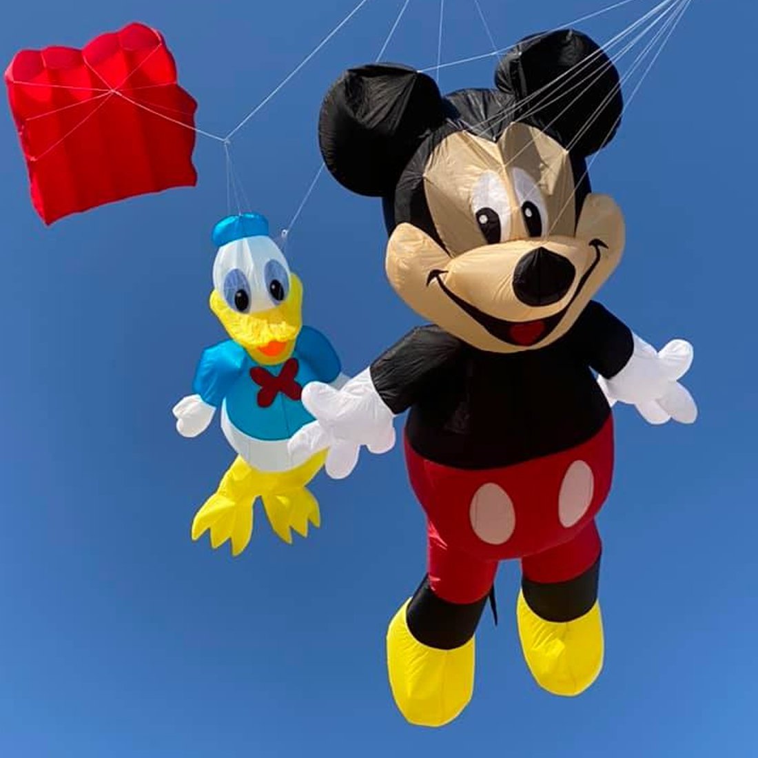 Mouse Kite