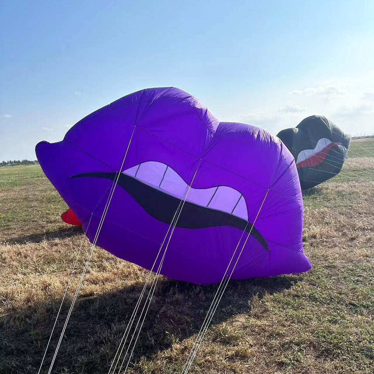  2.5m Lips kite