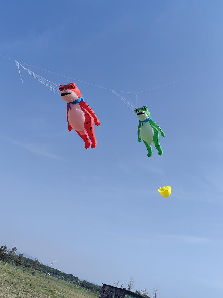 9KM 5m Frog Kite Line Laundry Pendant Soft Inflatable Show Kite for Kite Festival 30D Ripstop Nylon Fabric (Accept wholesale)