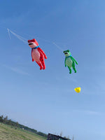 Lade das Bild in den Galerie-Viewer, 9KM 5m Frog Kite Line Laundry Pendant Soft Inflatable Show Kite for Kite Festival 30D Ripstop Nylon Fabric (Accept wholesale)
