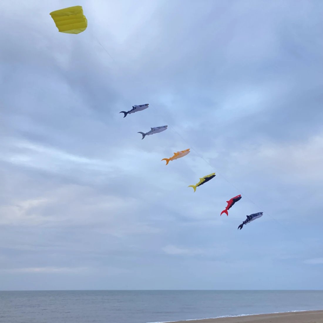 9KM 6m Whale Shark Kite Line Laundry Kite Pendant Soft Inflatable Show Kite for Kite Festival 30D Ripstop Nylon with Bag