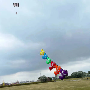 9KM 2.45m~3m Fish Kite Soft Inflatable Line Laundry Kite 30D Ripstop Nylon with Bag for Kite Festival (Accept wholesale)